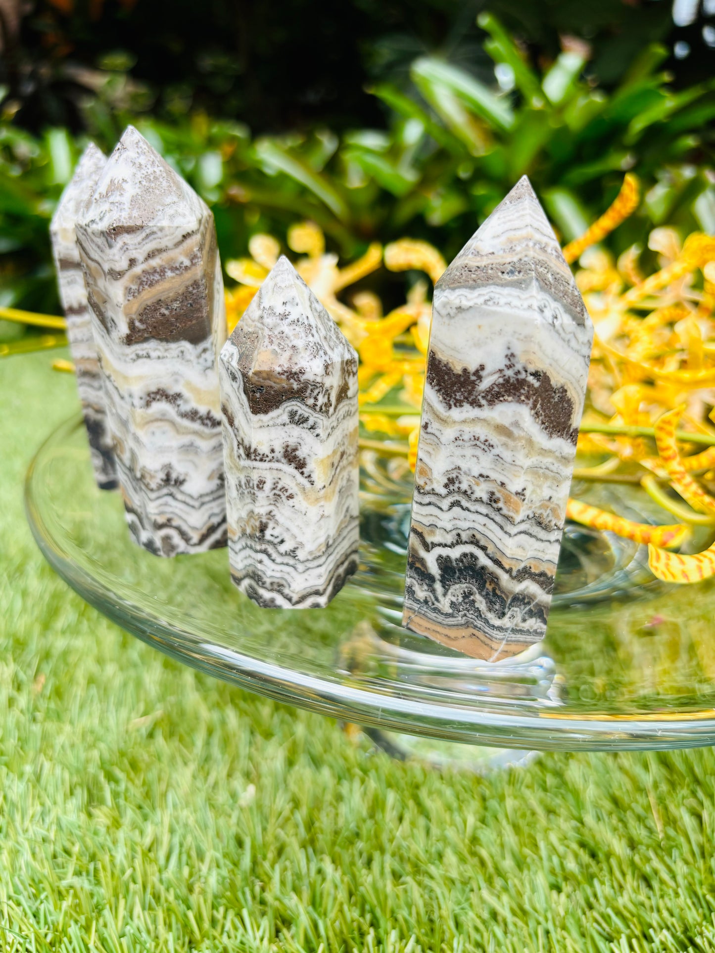 Dendritic Agate Towers / Points