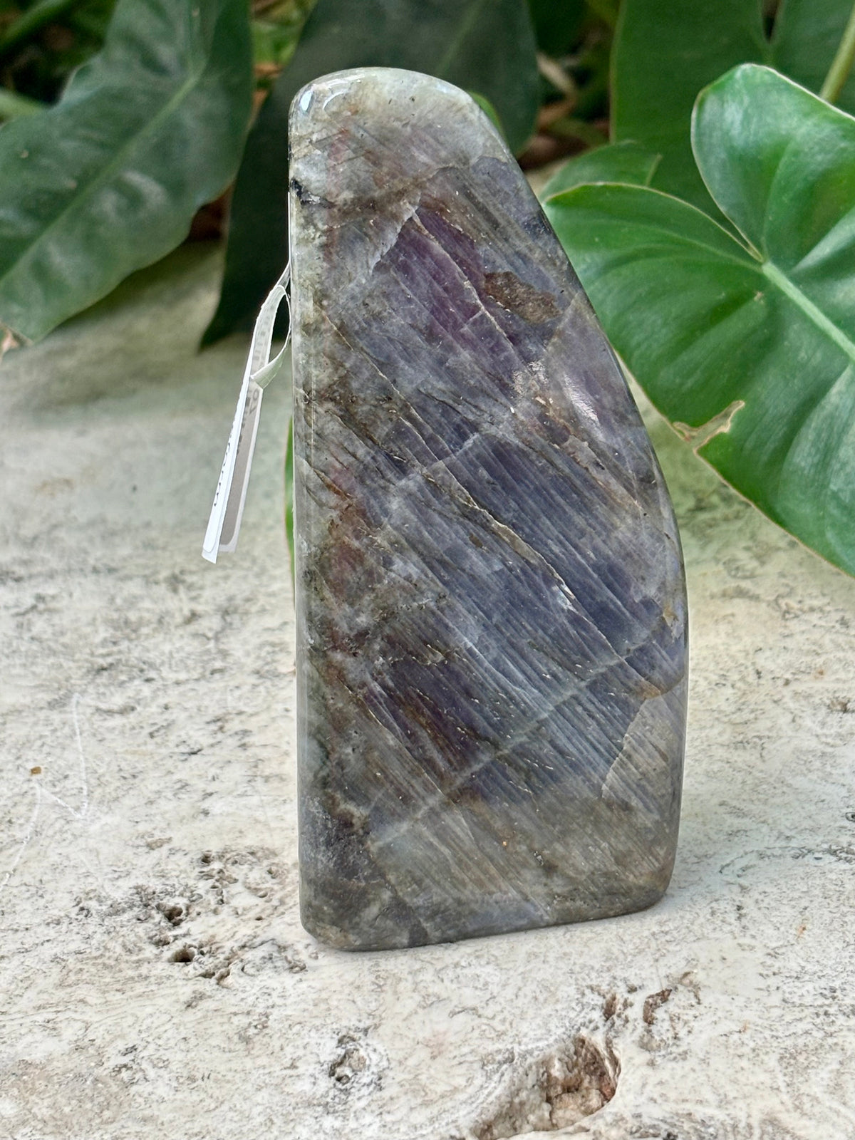 Labradorite Freeform