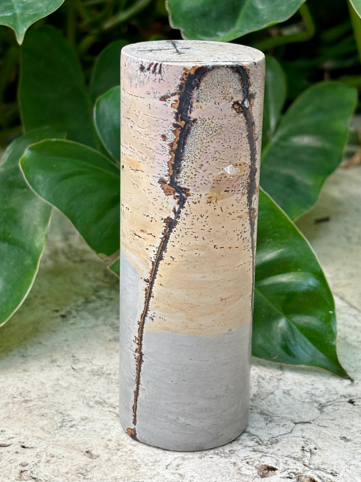 Picture Jasper Cylinder