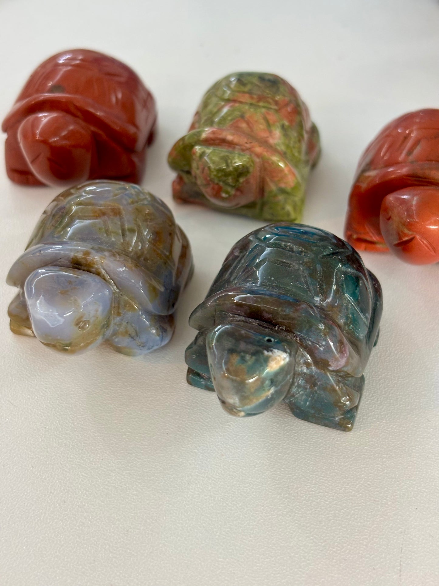 Mixed Material Turtle Carving