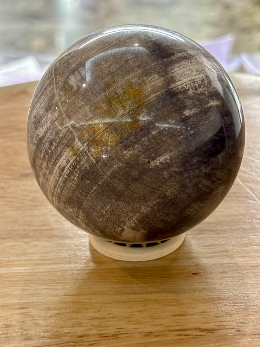 Petrified Wood Sphere