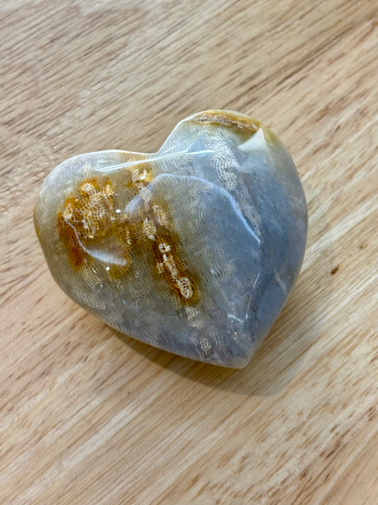 Fossilized Coral Heart