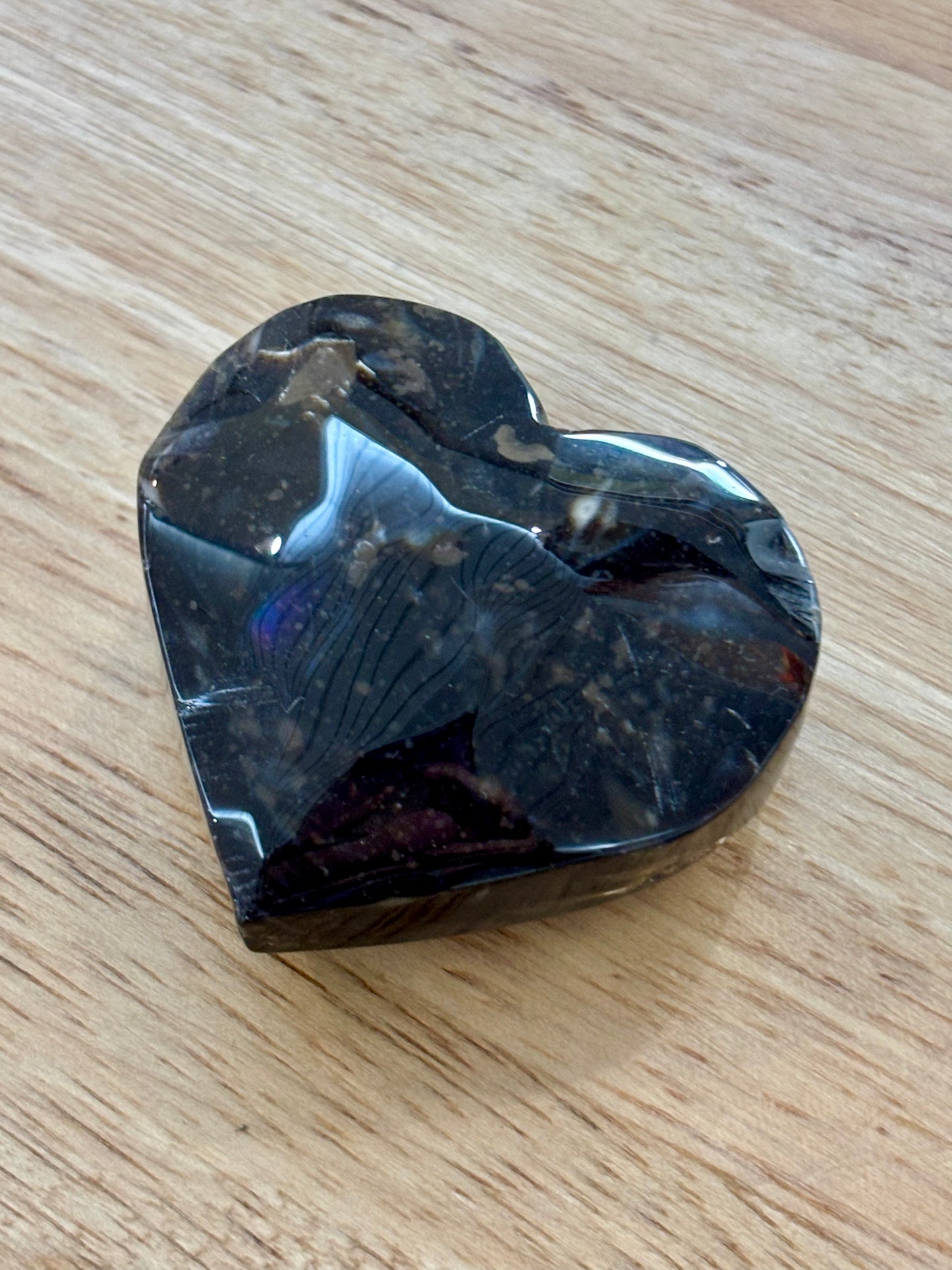 Petrified Wood Heart