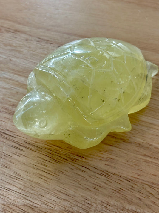 Citrine Turtle Carving