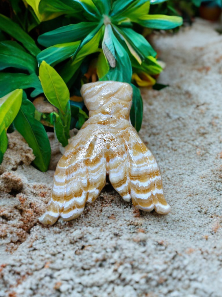 Mermaid Tail Carving