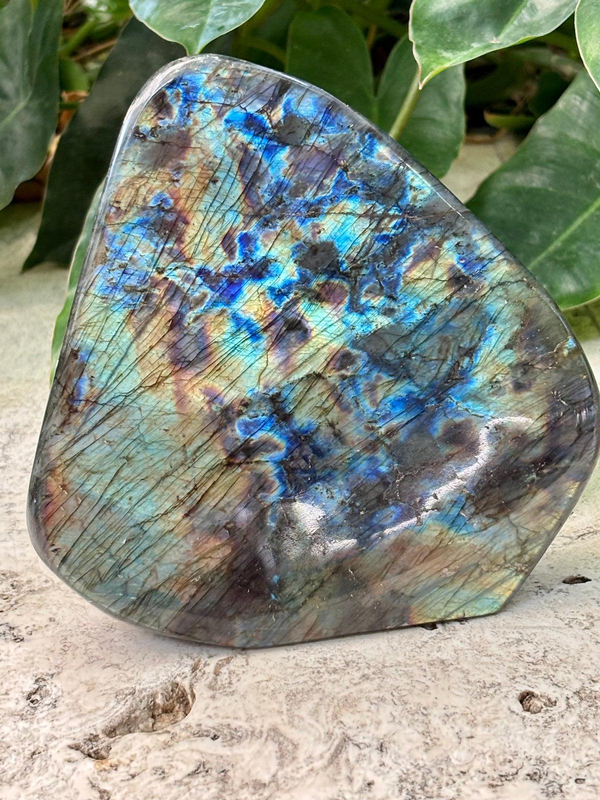 Labradorite Freeform