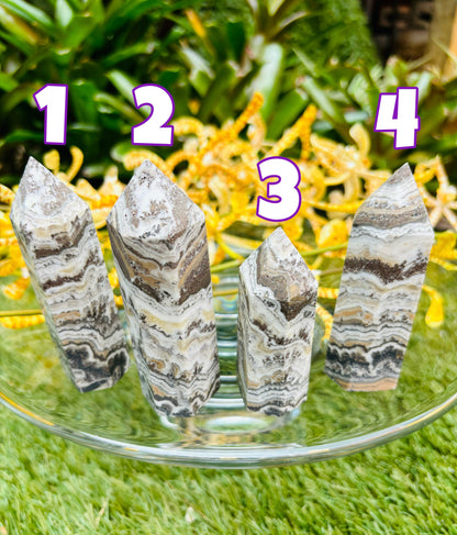 Dendritic Agate Towers / Points