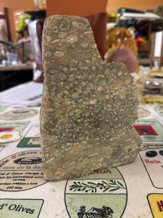 Rainforest Jasper Raw Stone