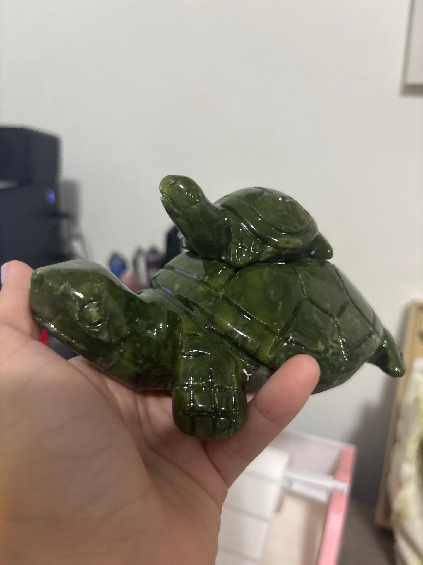 Green Jade Turtle