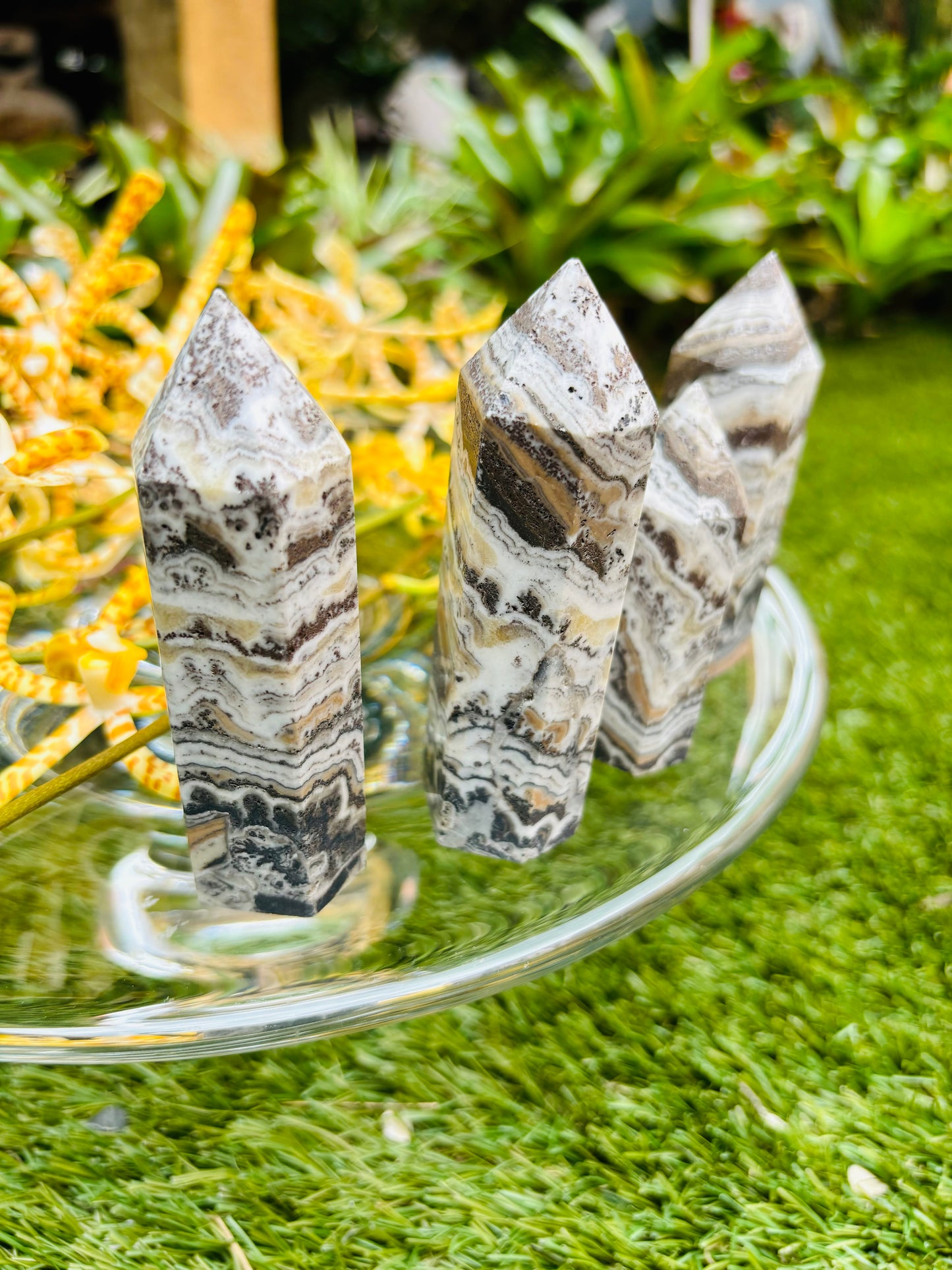 Dendritic Agate Towers / Points