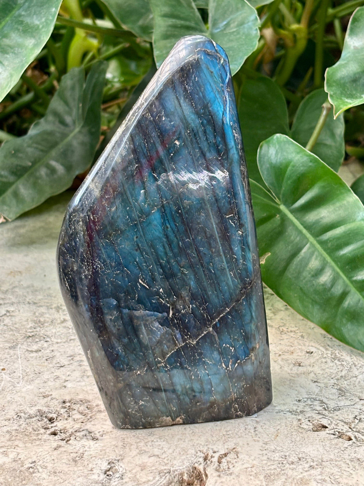 Labradorite Freeform