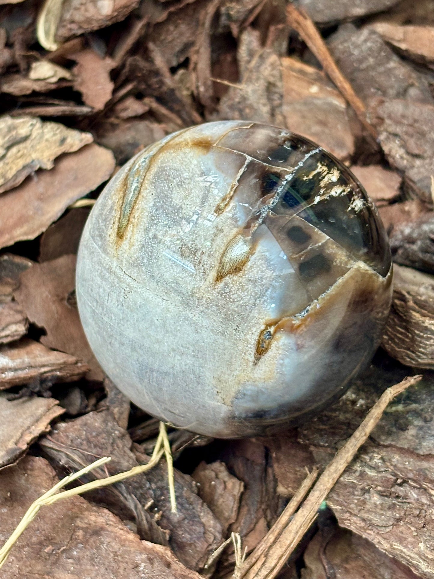 Petrified Wood Sphere