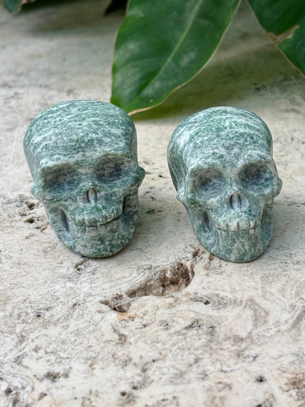 Tree Agate Skull Carving