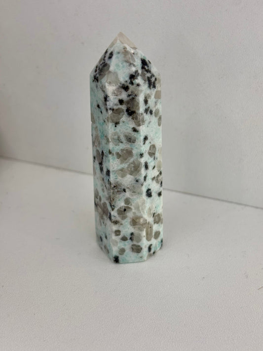 Kiwi Jasper Tower Point