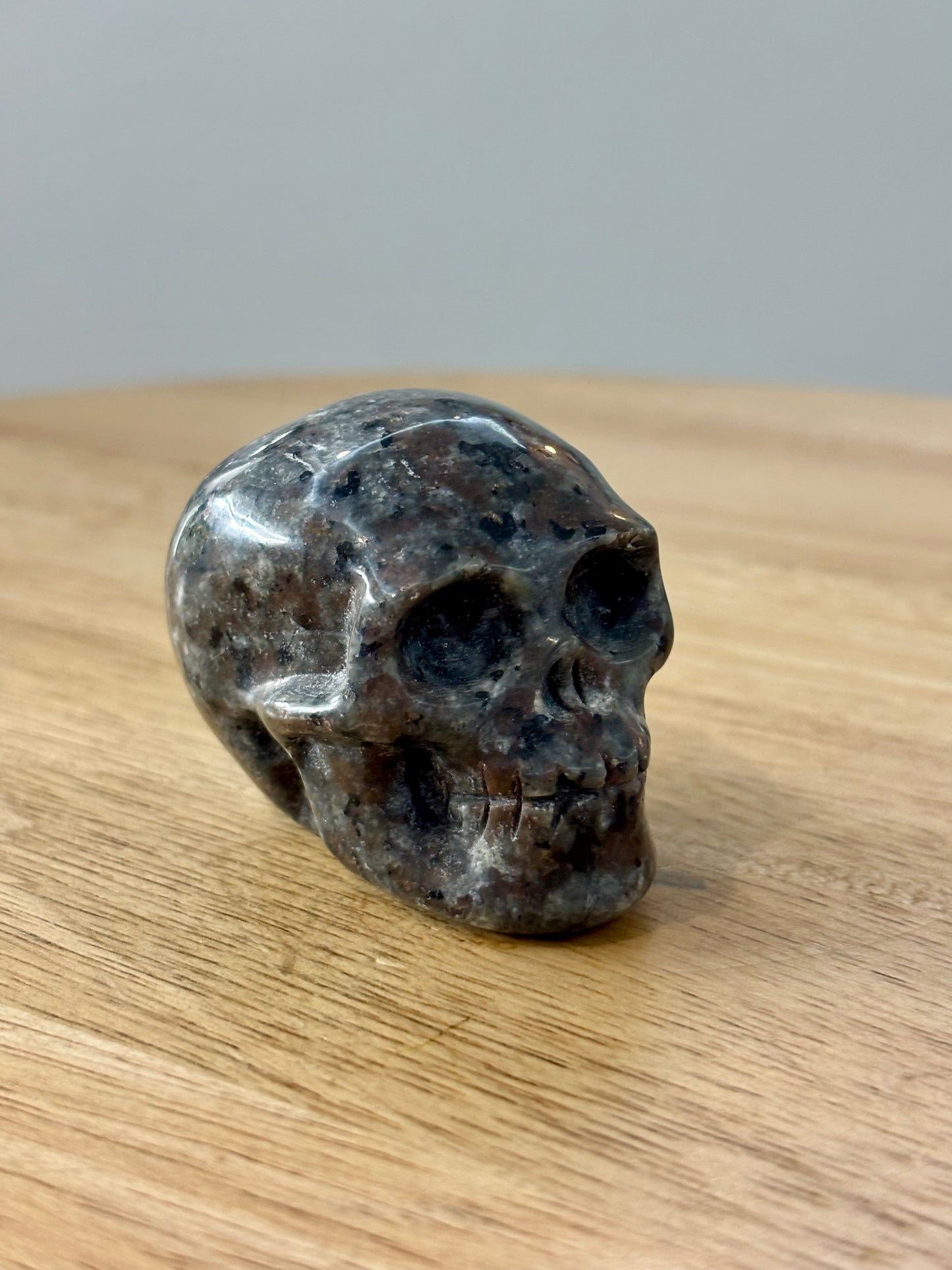 Yooperlite Skull