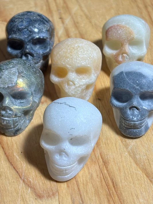 Tiny Mixed Skull