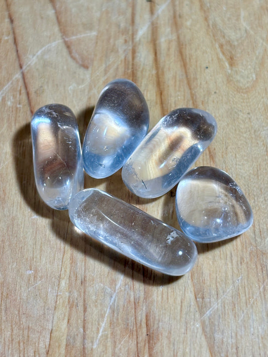 Tibet Lemurian Tumble