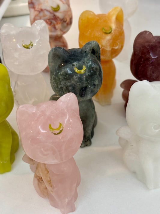 Mixed Material Luna Cat