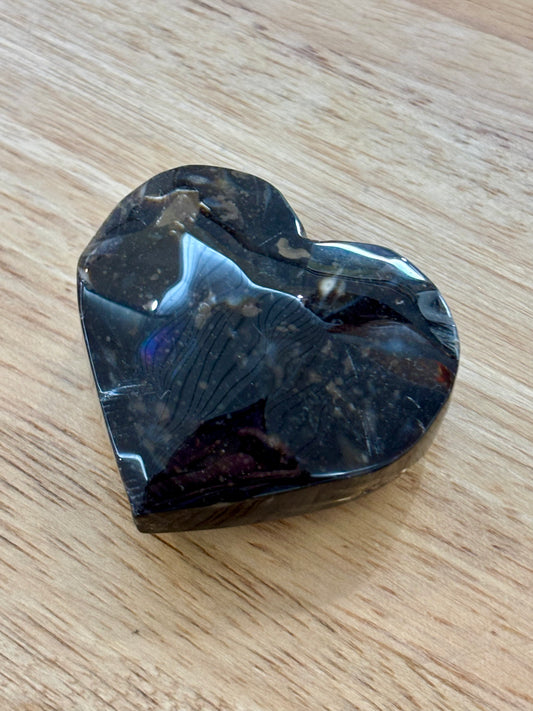 Petrified Wood Heart