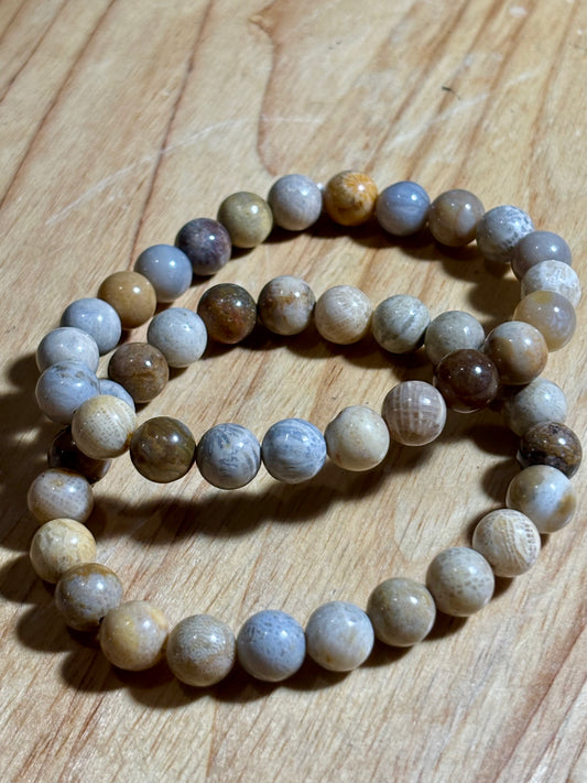 8mm Fossilized Coral Bracelet