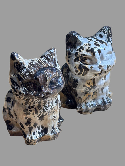 Picture Jasper Cat